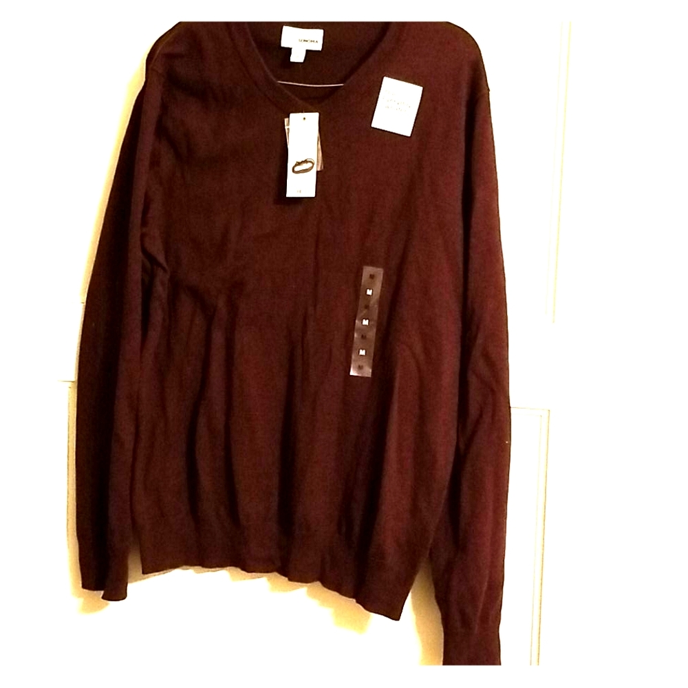 NWT Sonoma V Neck Sweater